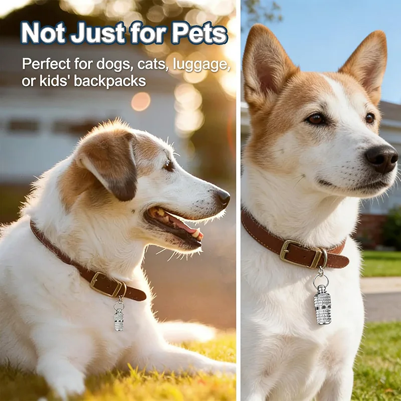 Thumbnail 3 - #66 Best Address Labels to Buy In 2026