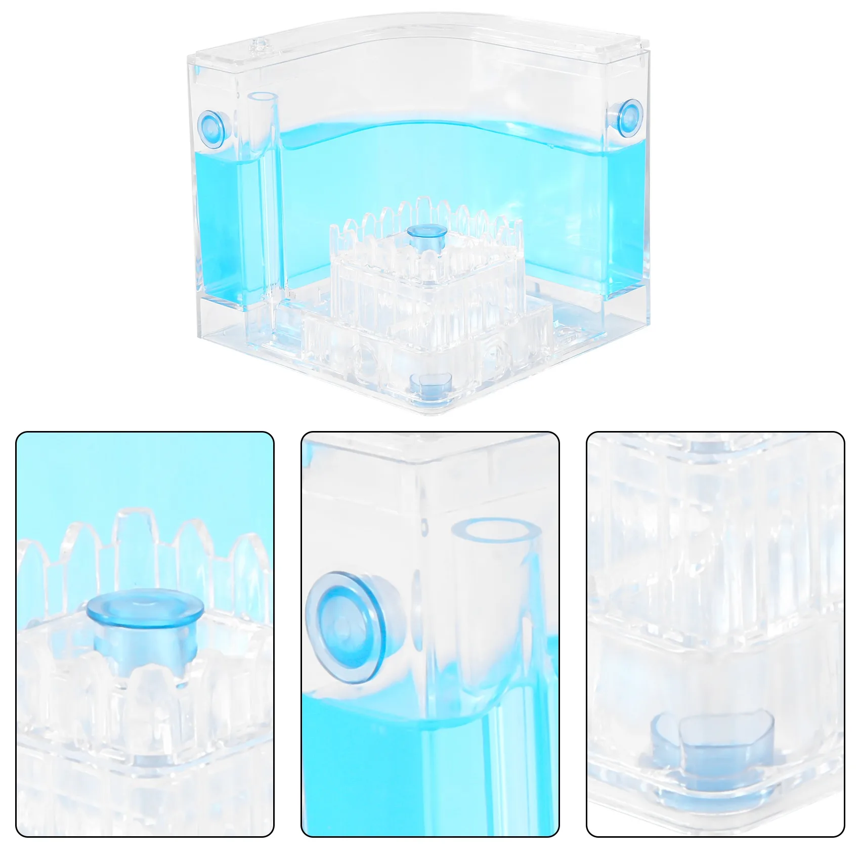 DIY влагоотдача с зоной кормления Муравьиное гнездо муравьиная ферма искусственное животное для искусственной муравьиной мастерской Муравьиное гнездо научное обучение