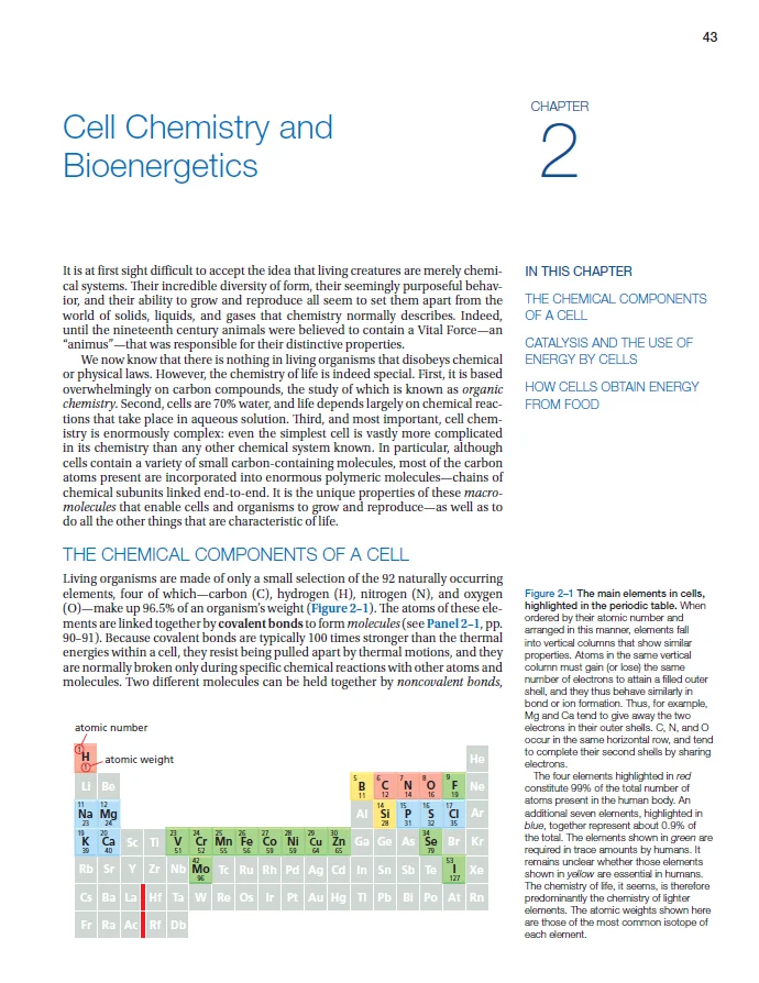 Biologia Molecular da Célula, 6 °