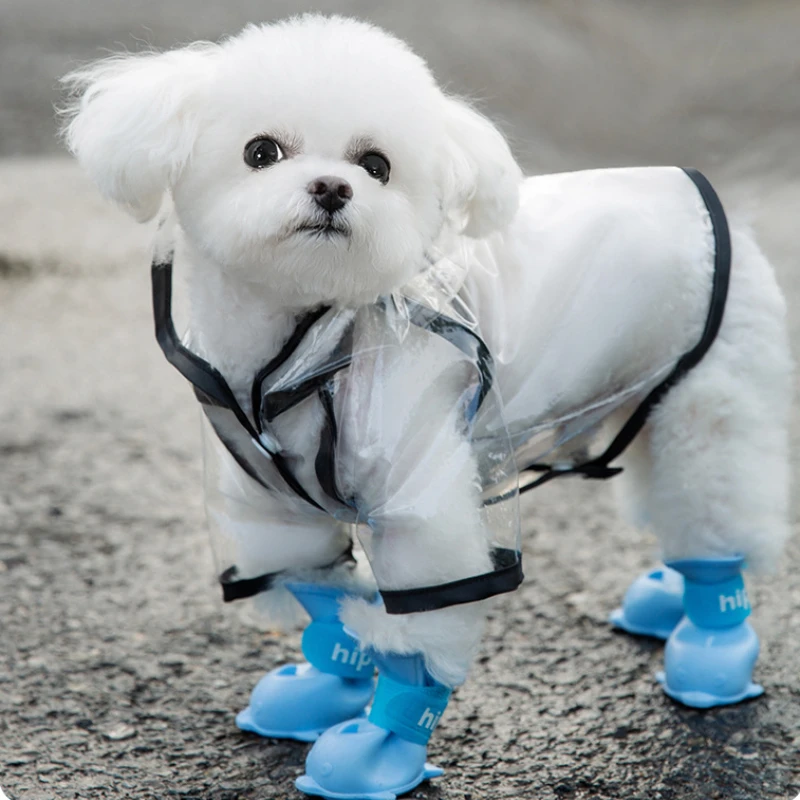 

Black Border Transparent Two Feet Waterproof Dog Raincoat Small Medium Dog Golden Fur Big Dog Poncho Teddy Out Rainy Cape