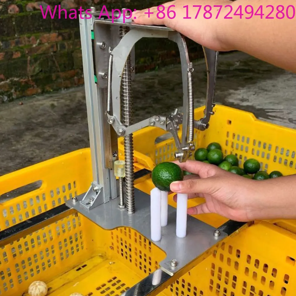 Commercial Manual Orange  Automatic Orange Peeling Machine Food Processor