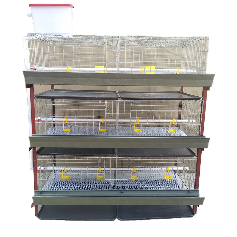 A-Shaped Steel Egg Chicken Cage Multi-Layer Stepped & Stacked Hot/Cold Galvanized for Household Breeding