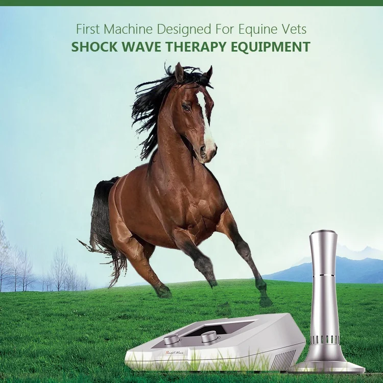 Soft Wave Therapy Machine For Forelimb Hindlimb Horse Care Hospital Rehab Center