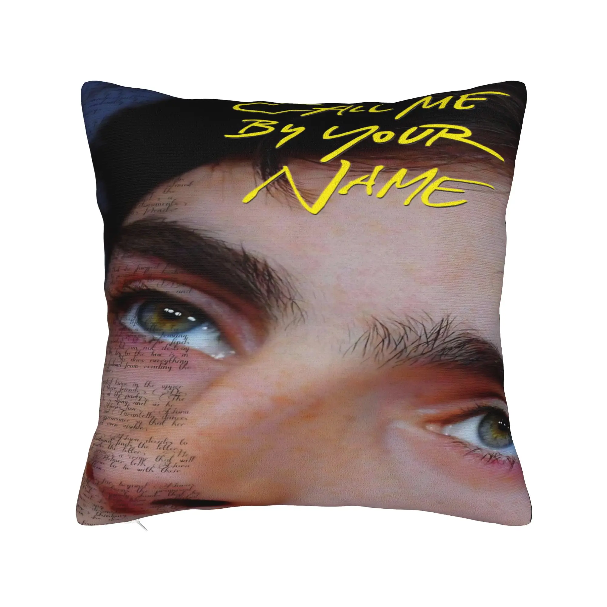 Call Me by Your Name Pillowcase Accessories Soft Cushion Cover  Pillow Covers Bed Decorations Zipper Multi-Size
