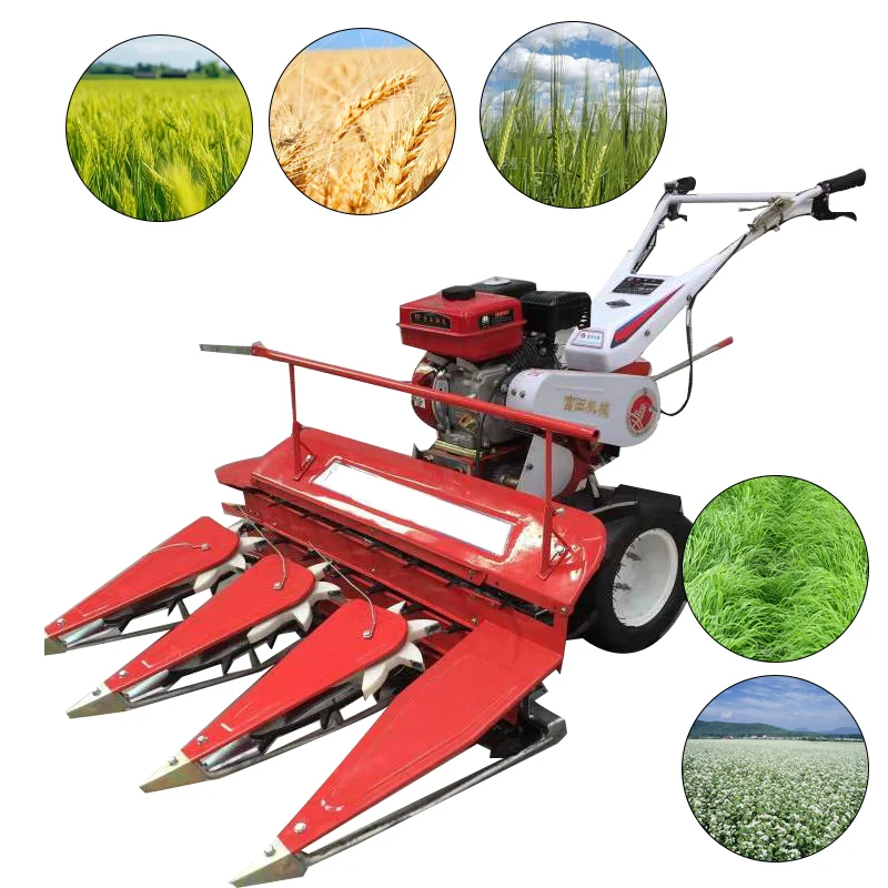 Vari stili Sporket Combina Mini mietitrice Mini mietitrice multicrop Mini mietitrice per mais dolce