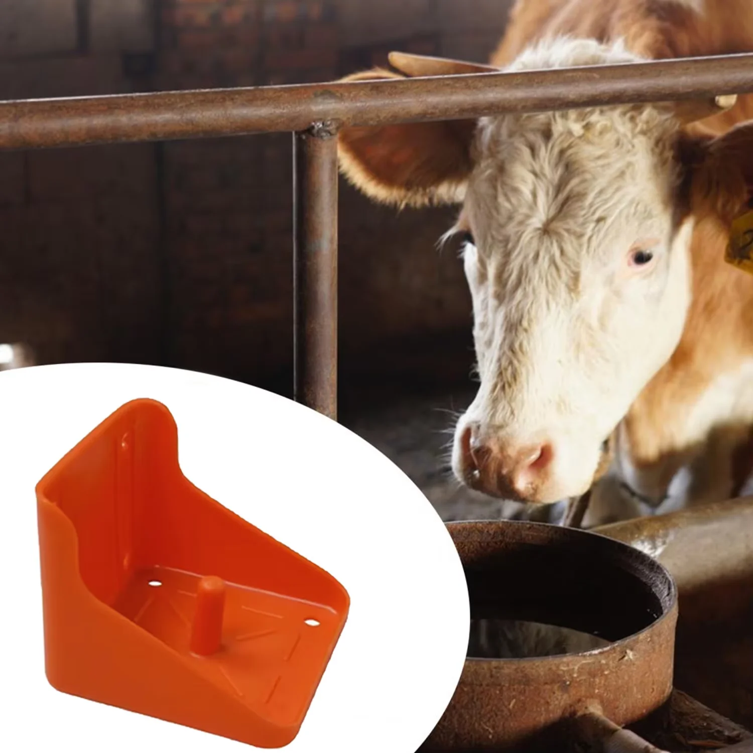 

Salt Block Holder Goat Mineral Feeder Durable Feeding Box Horse Salt Brick Licking Block Rack Farm Animal Livestock Device Tools