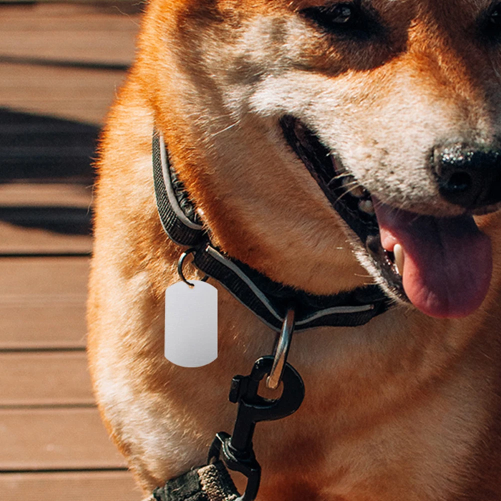 

12 Pcs Aluminum Label Dog Identification Tags Blank Metal Cattle Ear Stamping Blanks Name