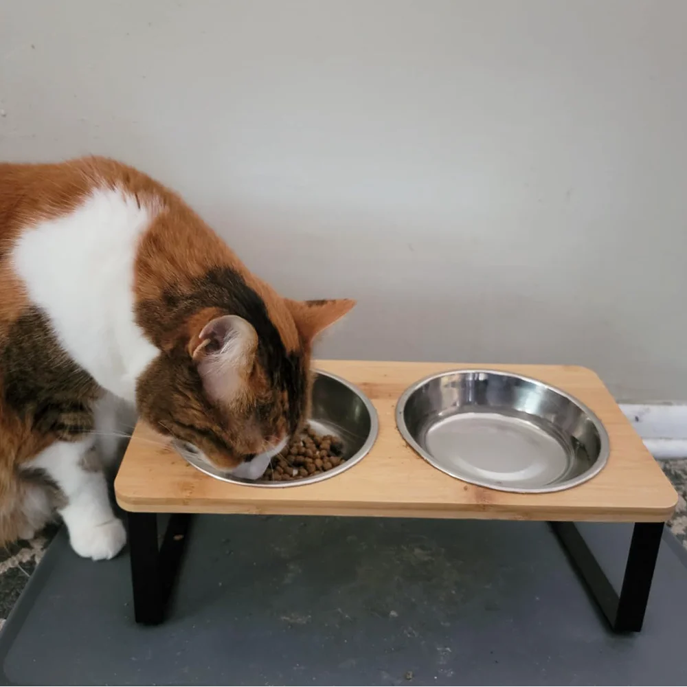 Thumbnail 2 - #9 New Stainless Steel Puppy Bowls Arrivals