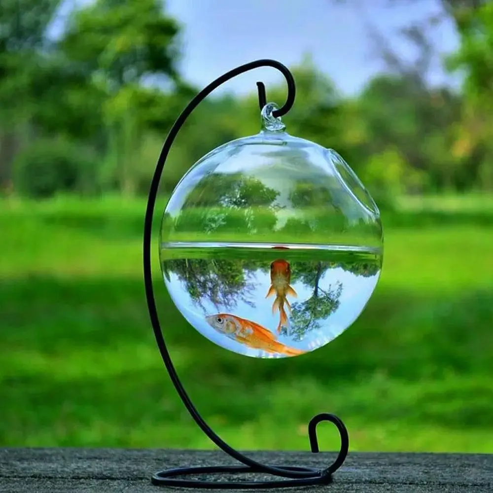 

Aquarium Decoration Home Decoration Hydroponics Vase Wall Hanging Fish Bowl Fish Tank Hanging Glass Fish Bowl Vase Ornament