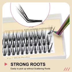 LASHURY 60pcs L curl Foxy Eyes Cat Look Mink Eyelash Fluffy Natural False Eyelashes Professional Makeup Tools Individual Bundles