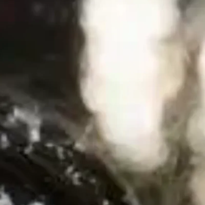 

Элегантный зимний теплый шарф-воротник из искусственного кроличьего меха, однотонный, с милым плюшевым мишкой, для женщин