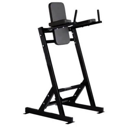 Professional Fitness Equipment Commercial Vertical Leg Lift/Vertical Lift/Immersion and Abdominal Machine