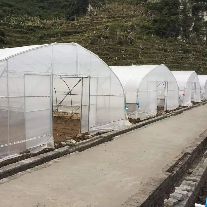 

Customized greenhouseCost-Effective Single-Span Film Tunnel Greenhouse With Ventilation System for Agriculture