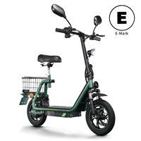TWOFISH Electric bike for Adults with Road Legal IN EU with EEC Certificat,48V13 Ah Battery,40KM/H 12 Inch Tire Peak 750W E bike
