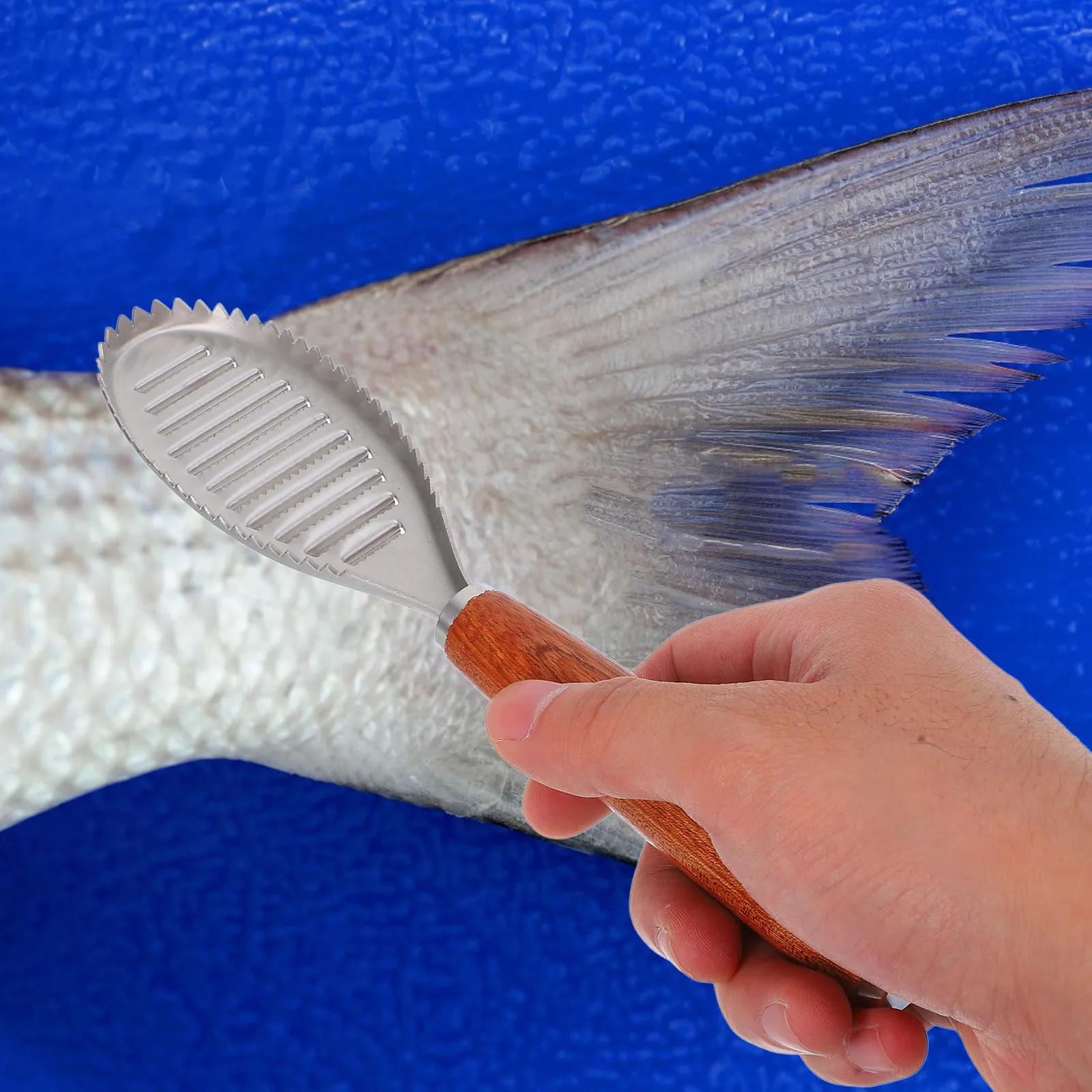 

Fish Scale Stainless Steel Cleaning Tool Peelers Fish Scale Cleaner Kitchen Gadget Seafood Practical Lightweight