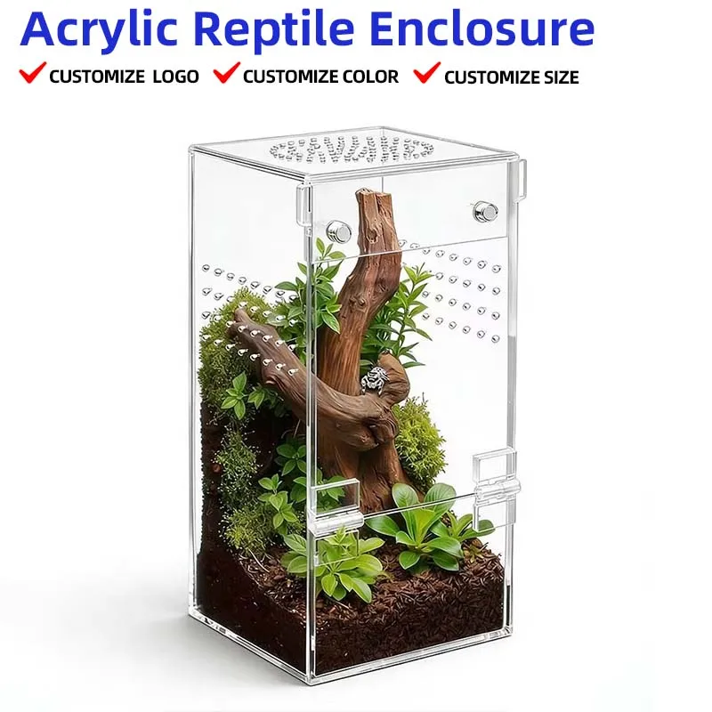 Transparent acrylic reptile feeding box, glass container habitat, ventilated jumping spider feeding box with magnetic door