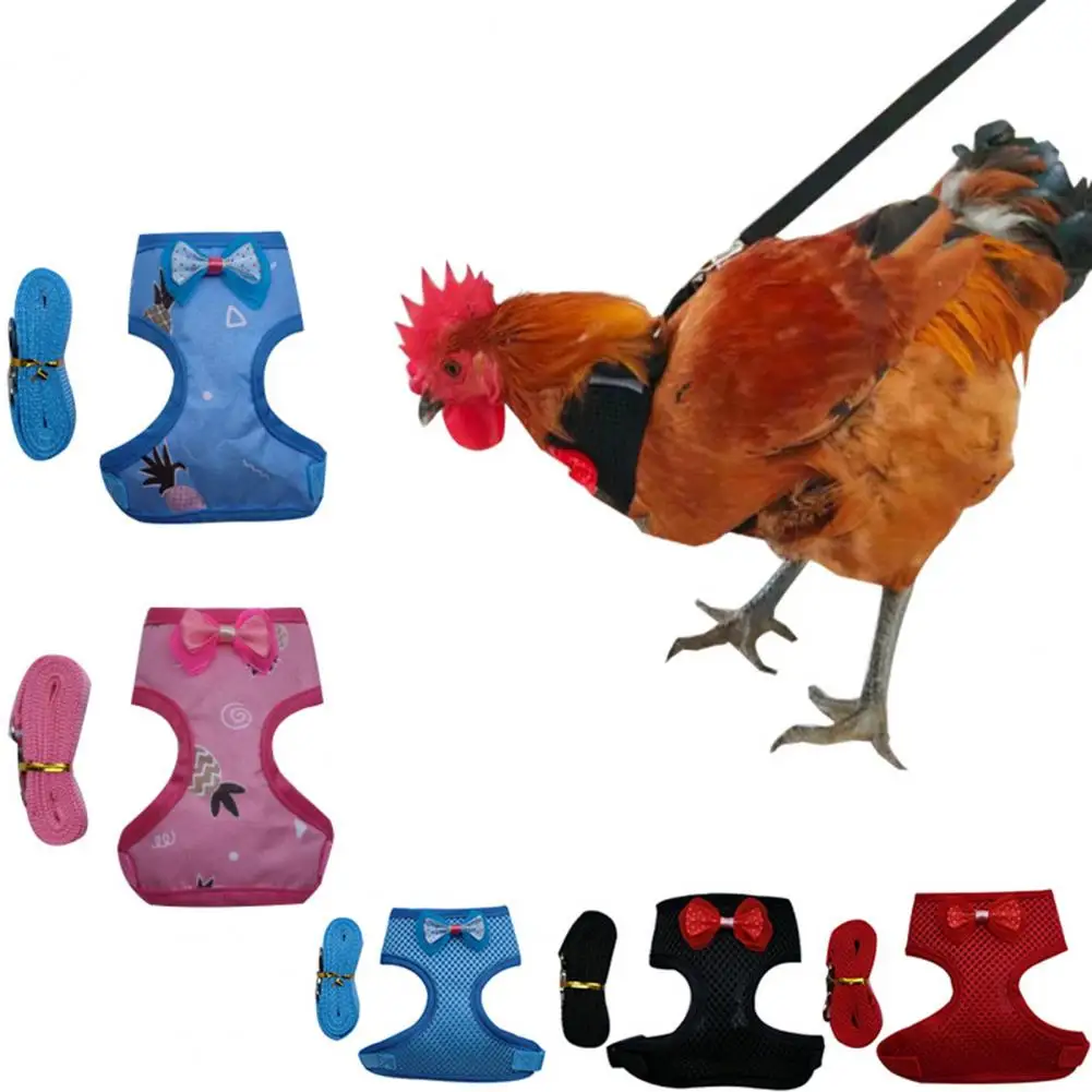 Pet Harness Bowknot Decor Walking Safety Fabric Safe Chest Strap Leash for Chicken