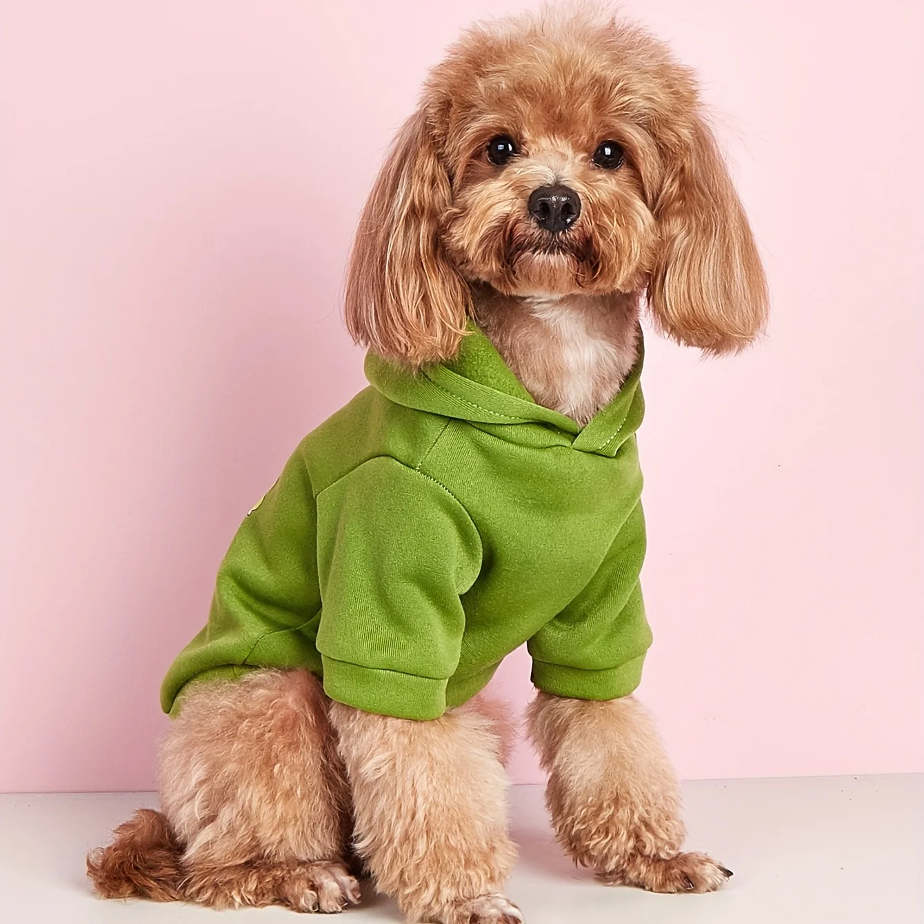 Chemise de protection en velours pour animaux de compagnie, vêtements pour chiens et chats, chauds et confortables, vert, frais et mignons, College simples et généreux