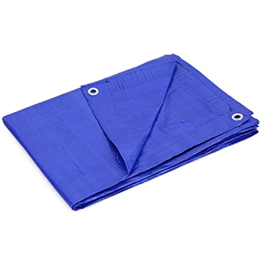 10 x 10 Ft. All-Purpose Multi-Use Protection/Coverage 5-mil Poly Tarp, Waterproof,,1-Pack TRA-1010