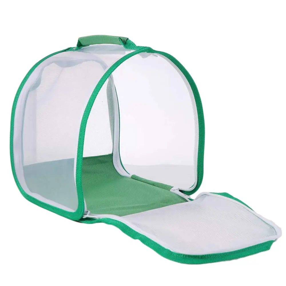 Transparent Critter…