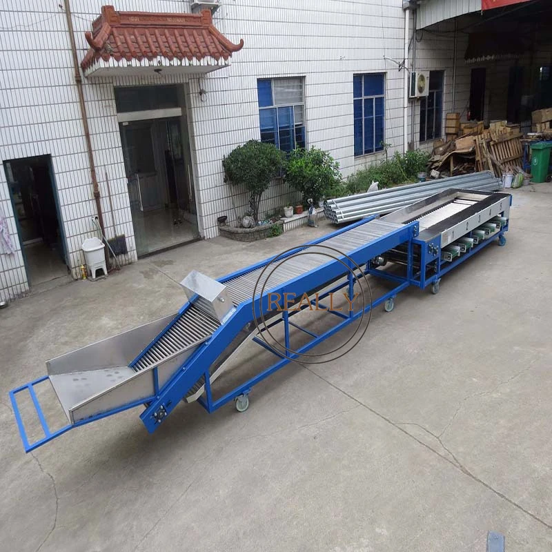 آلة فرز الفاكهة آلة فرز الطماطم الكرزية آلة تصنيف الزعرور