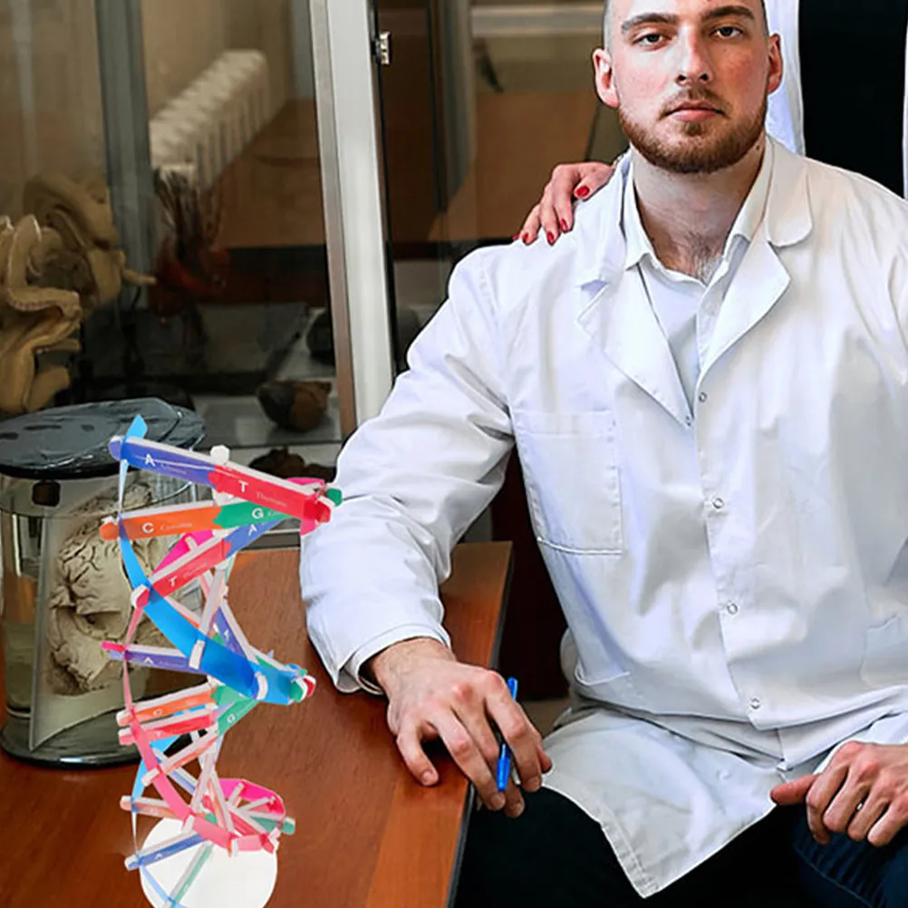 

Набор для сборки модели ДНК (3 шт.): DIY-конструктор для изучения генетики, образовательный инструмент для биологии, развивающая игрушка Toyvian