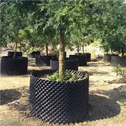 Poda de aire para plantas, Control de raíces, macetas de vivero, contenedor de crecimiento rápido de raíces, herramienta de Trasplante de bonsái, árbol de jardín, 22M