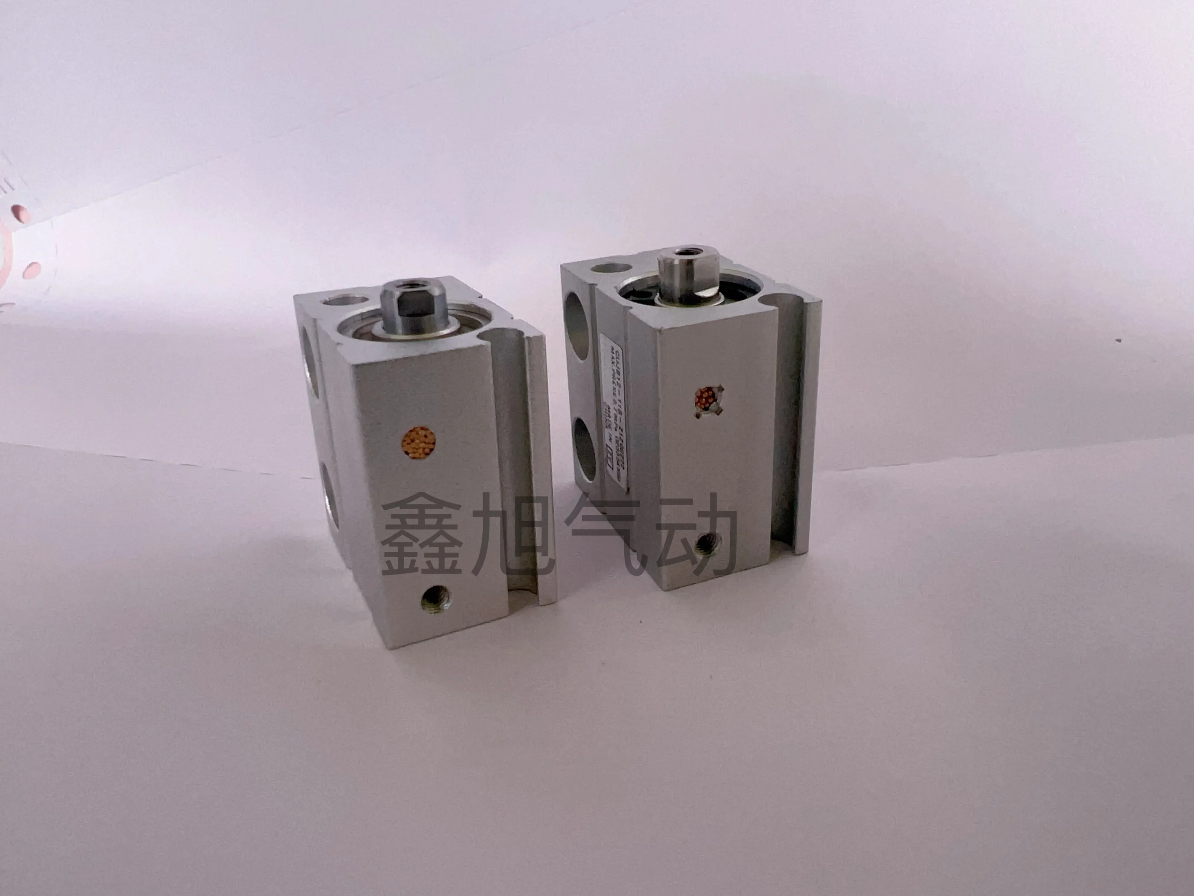 Cujb12-11Sz1z00222 Non-Standard Single Action Free-Installation Cylinder Cdujb12