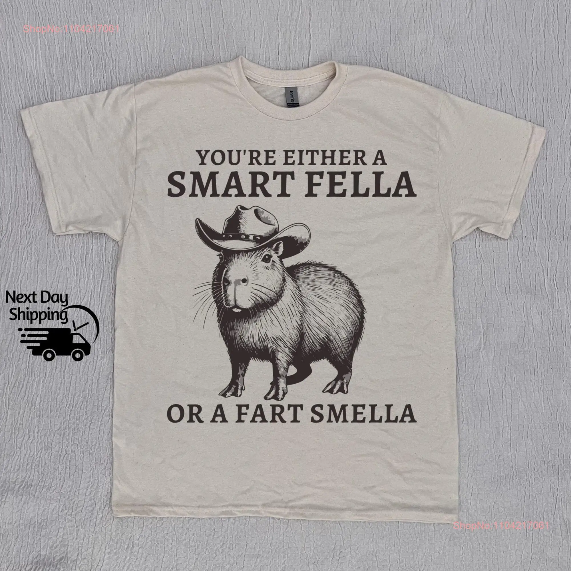 Retro Smart Fella Capybara 90s T Shirt Funny Vintage Washed Distressed  long or short sleeves