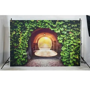 6 Hauptverkauf rustikaler fotografischer Hintergrund - №6