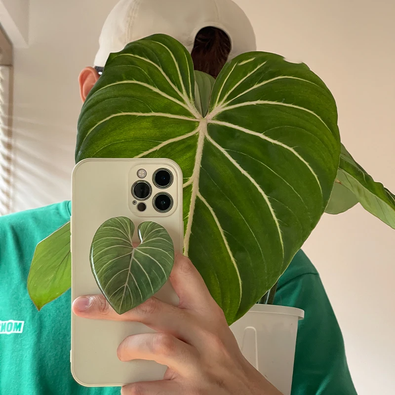 Poppings Socket Folding Grip Pretty Leaf Acrylic Phone Holder For iPhone Samsung Xiaomi Universal Phone Griptok - view 2