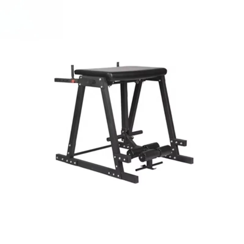 

Коммерческое оборудование для тренажерного зала Обратный гипермашина Укрепление нижней части спины Улучшение стабильности ядра