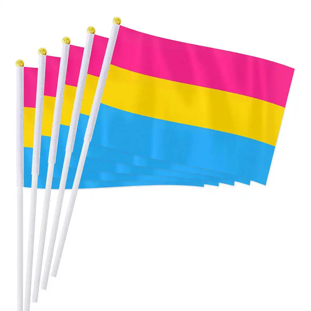 10 Pack Small Pansexual Flags LGBTQ Flag With Mini Stick Plastic Flagpole Handheld For Home Party Decoration Parades