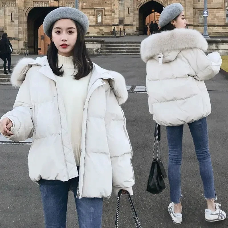 Chaqueta de pan corta versión coreana para mujer, Chaqueta de algodón gruesa suelta ins, Linda Chaqueta de algodón de gran tamaño para estudiantes de invierno