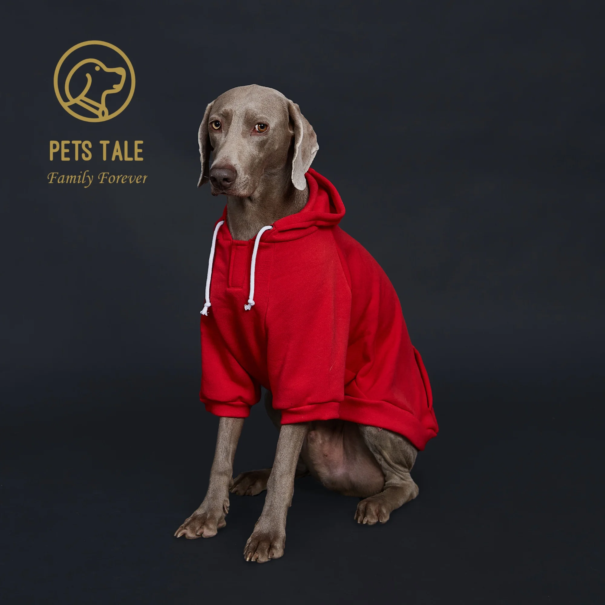 Solid Color Dog Hoodie with Pocket, Leather Patch, Hook and Loop Fastener Collar - Available in 5 Colors