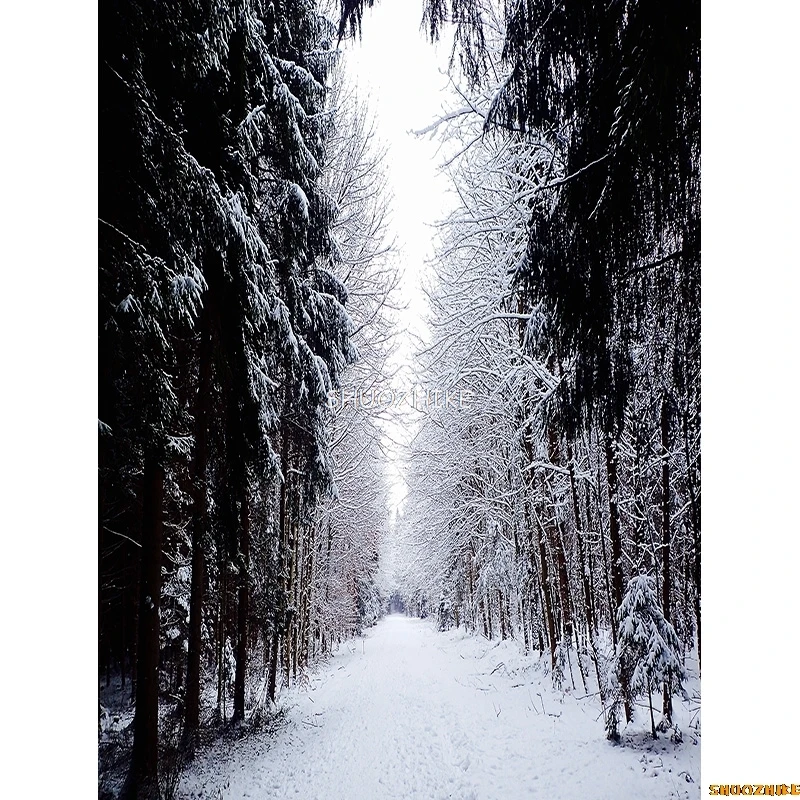 قطرات خلفية للتصوير الفوتوغرافي للغابات الشتوية ، طريق مغطى بالثلوج ، ندفات الثلج ، أشجار التنوب ، خلفية الصورة ،