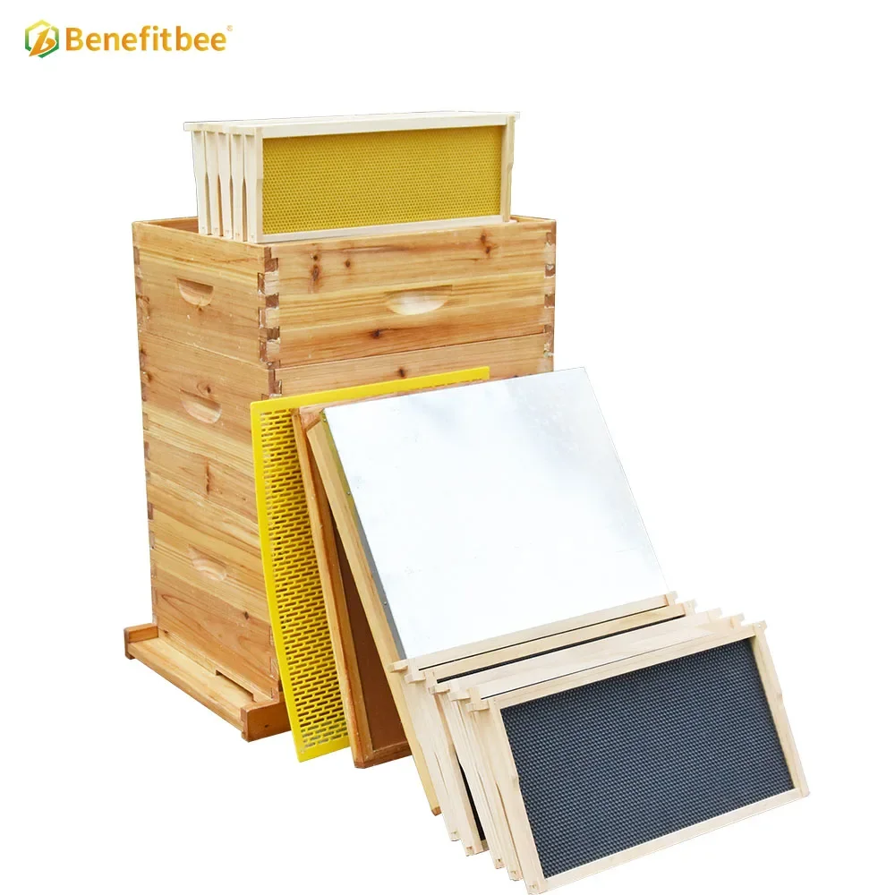 OEM Factory Langstroth Bee Hive Kit Beekeeping Equipment Wooden Beehive