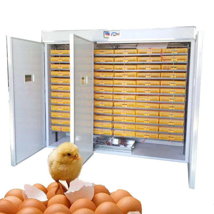 Duck Chicken Egg Incubator 1000 Eggs Price Incubators Hatching Eggs