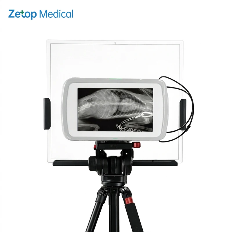 Veterinary Digital X Ray Portable Price Mobile X Ray Equipment Mini Portable X-ray Machine Optional Flat Panel Detector