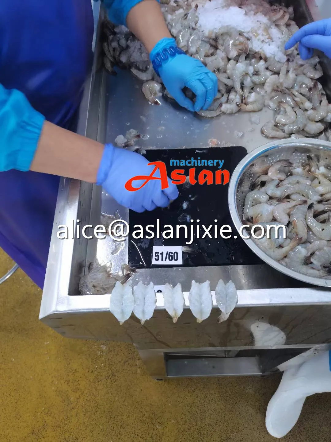 Commercial Black tiger Prawn Back Opening Cutting Machine / Fresh Shrimp Head Back Opener Vein Removal Machine