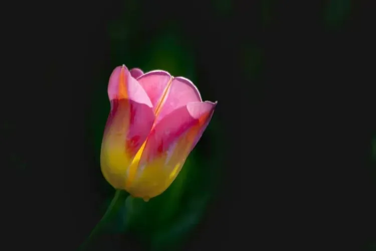 

Комплект алюминиевых дисков 1.3" с бедлок-системой и грязезащитными шинами для радиоуправляемых краулеров 1/24 Ascent UDIRC UCX24 (тюнинг)