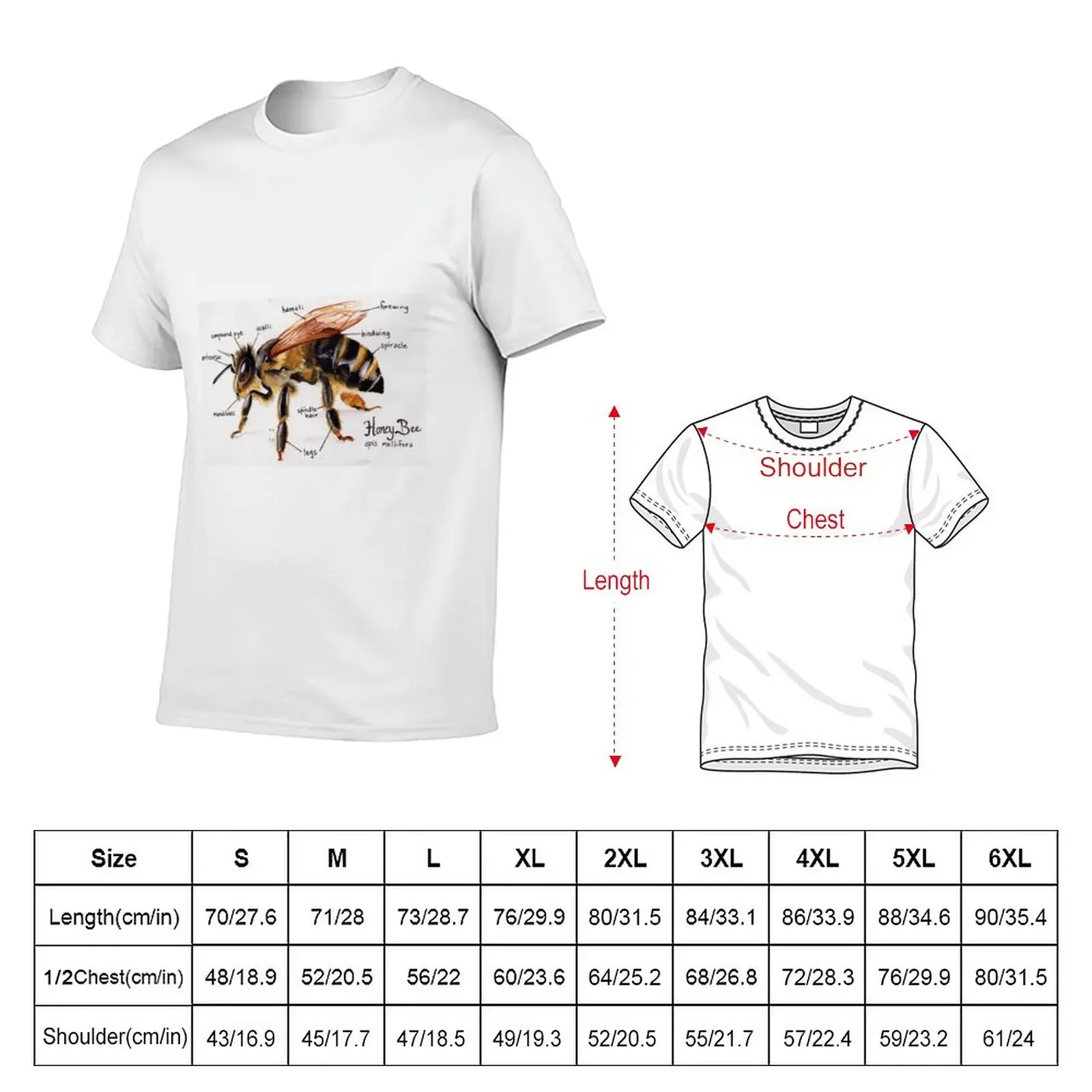 New Honey Bee Anatomy Chart T-Shirt customs summer clothes shirts graphic tees plain white t shirts men