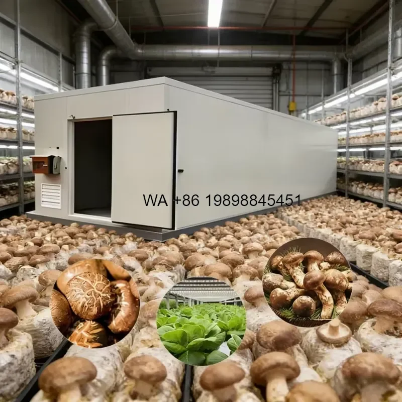 Wmwmnu Fully Automated Climate Control Equipment for Farm Mushroom Growing Room Smart 20ft 40ft Mushroom Growing Farm