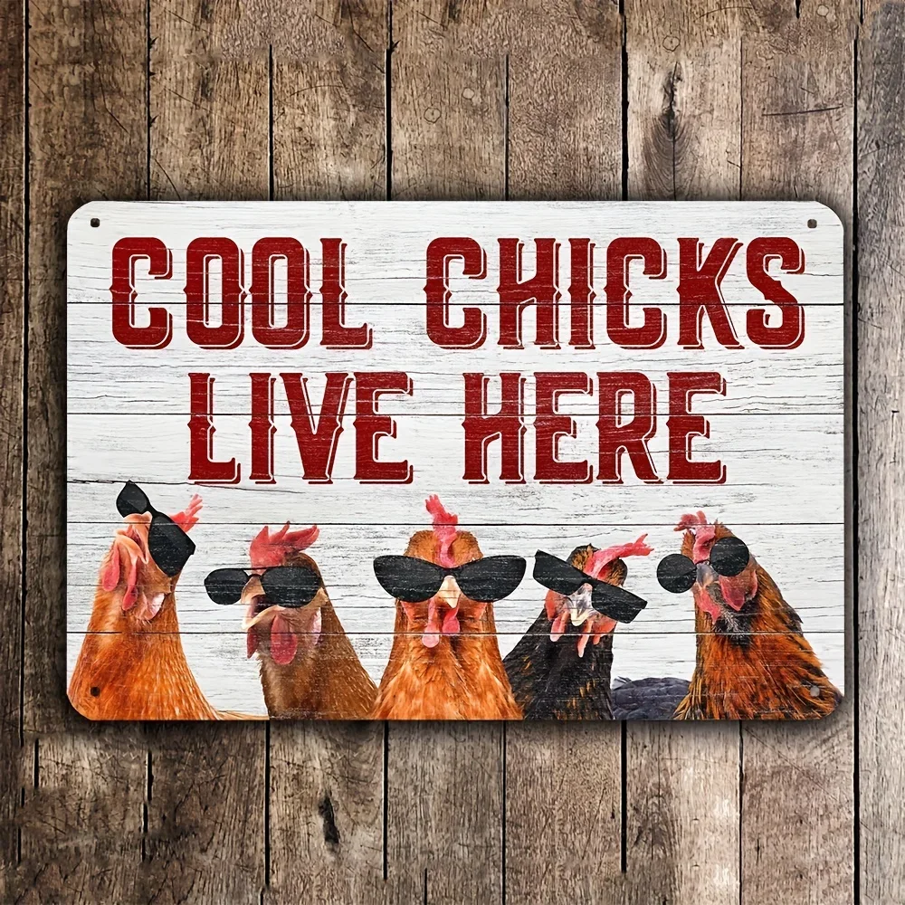Cool Chicken Lives Here Disposable Metal Chicken Coop Sign, Information Sign, 30X 20cm ,1 Unit