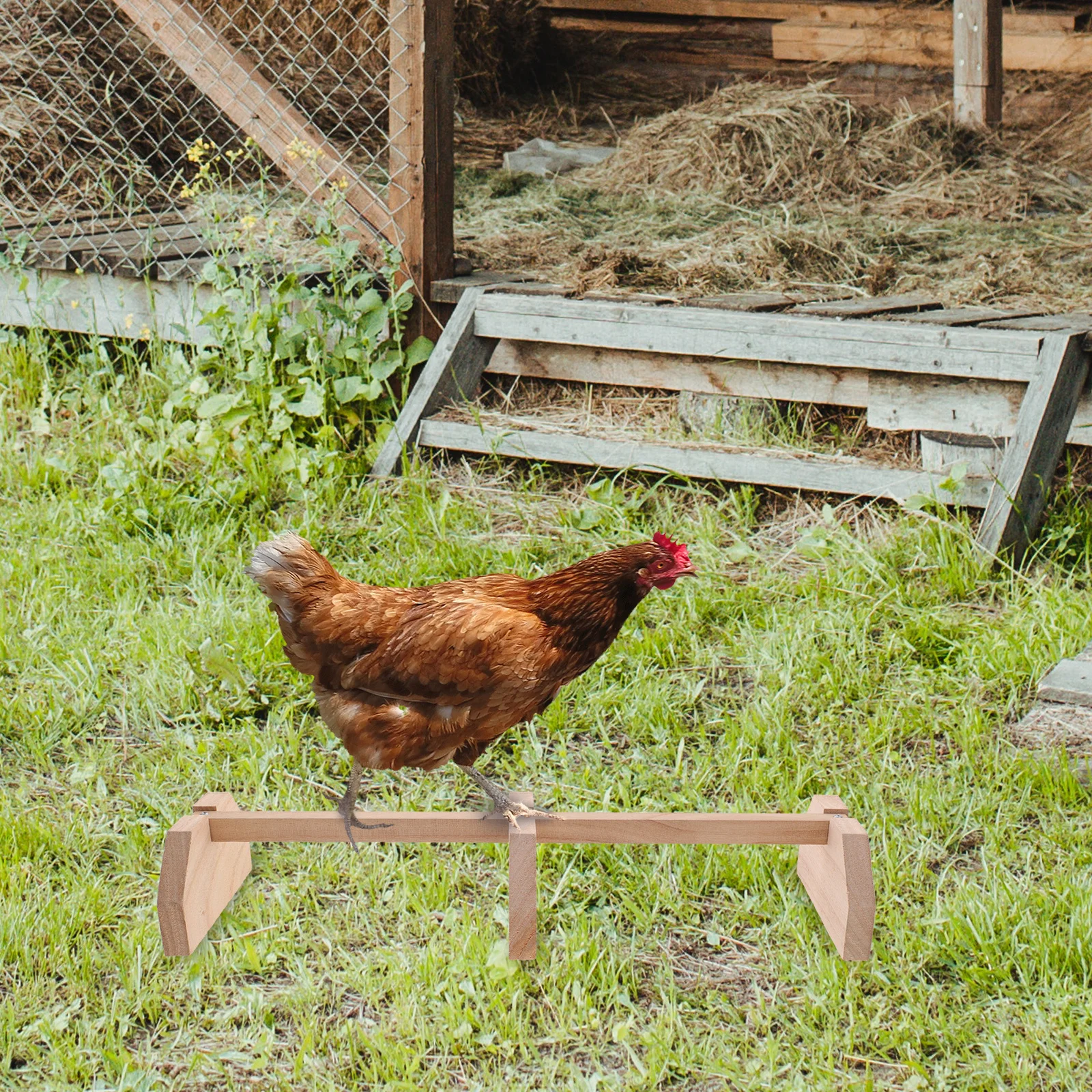Hühnerstange aus Holz, Naturholz, Roosting Bar für Hühner, Hühner, Vögel, Innenstall, Verwendung von Bauernhaus-Küken, stehend, Heimtierbedarf
