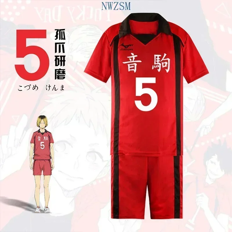 Disfraz de Halloween de Anime Haikyuu, disfraz de Karasuno, Club de voleibol escolar, Hinata Shyouyou, ropa deportiva, uniforme de Jersey