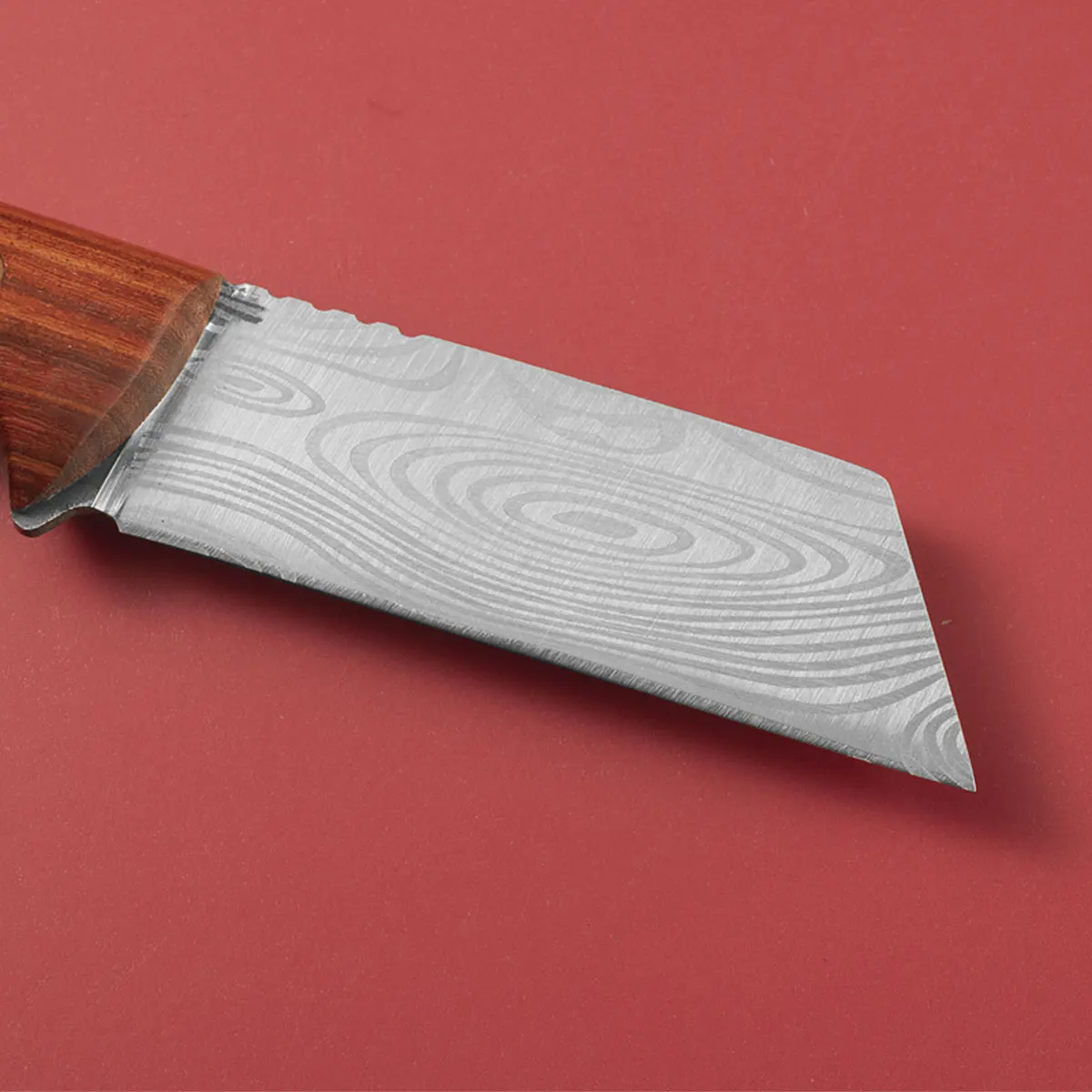 Multifunctional Grafting Knife｜Stainless Steel for Bark/Bud Grafting｜Fruit Tree Handmade Gardening Tool