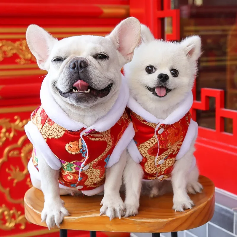 New Year Dog Dragon Robe Costume Winter Pet Clothes  of The Tang Dynasty Christmas Coat for Cats Teddy Bichon Small Medium Dogs