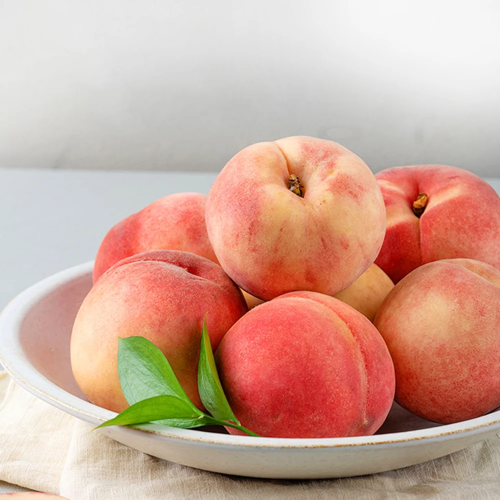 Brotmuster: Kreative Gestaltung und Verwendung in der Backkunst