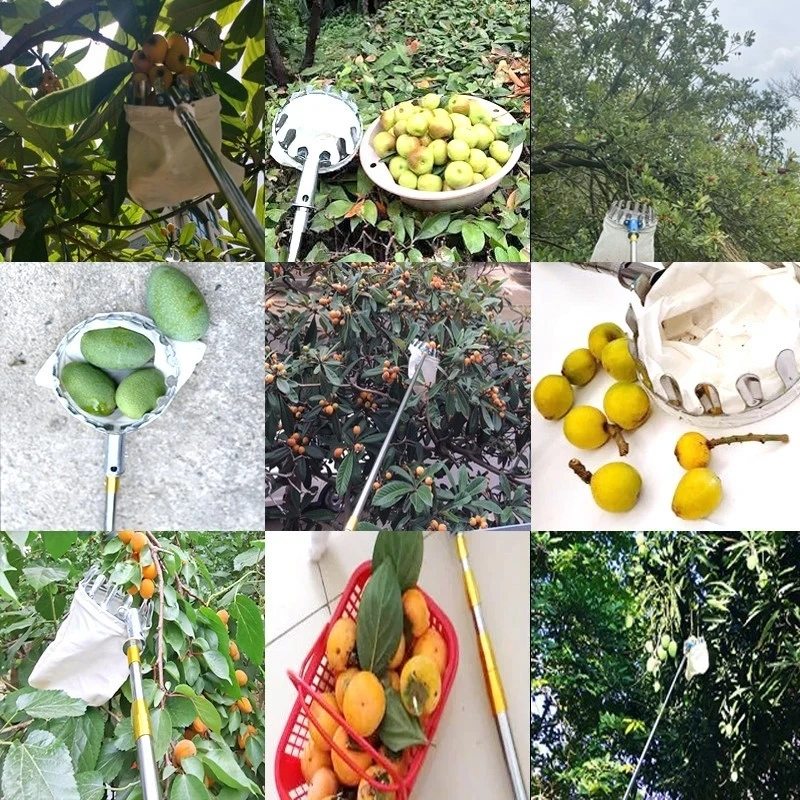 Alat pemetik buah logam Orchard berkebun Apple Peach alat memetik pohon tinggi koleksi kantong penangkap buah perlengkapan taman pertanian